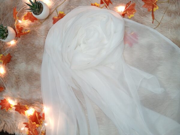 Wrap yourself in elegance with our Zene Chiffon Dupatta — a timeless accessory crafted from ultra-soft, lightweight chiffon. Its breathable fabric drapes beautifully, adding a graceful touch to any outfit. This dupatta promises unmatched comfort and effortless style, perfect for everyday wear and special occasions.