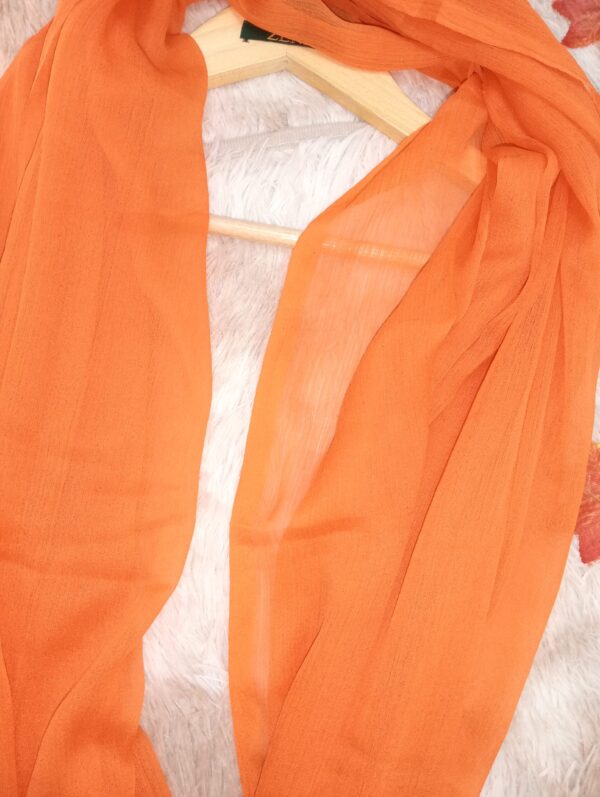 Wrap yourself in elegance with our Zene Chiffon Dupatta — a timeless accessory crafted from ultra-soft, lightweight chiffon. Its breathable fabric drapes beautifully, adding a graceful touch to any outfit. This dupatta promises unmatched comfort and effortless style, perfect for everyday wear and special occasions.